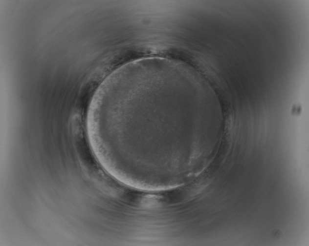 X0000112820222200909181633