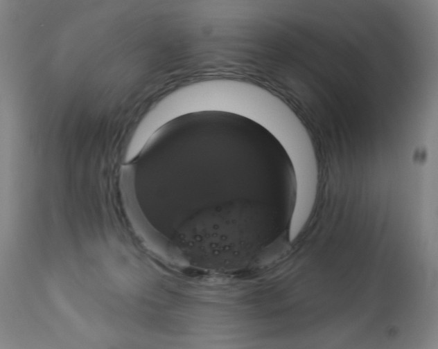 X0000112820223200909181633