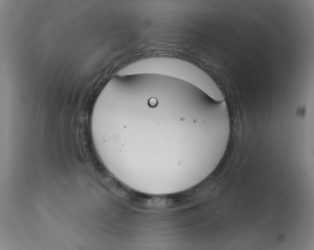 X0000112820225200909181633