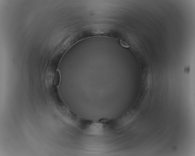 X0000112820227200909181633