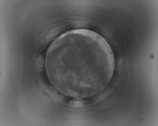 X0000112820228200909181633