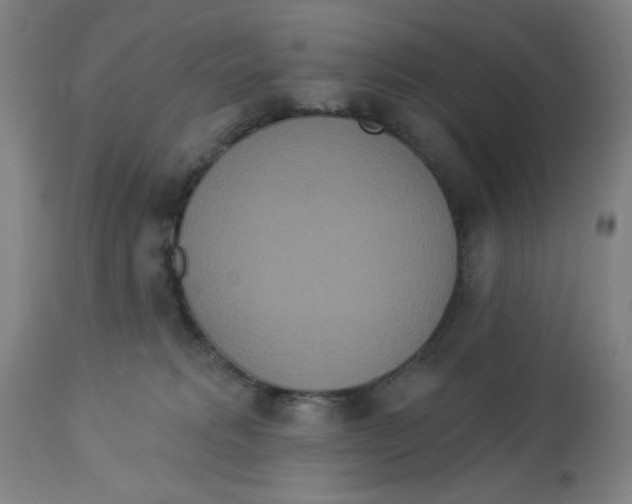 X0000112820229200909181633