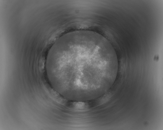 X0000112820230200909181633