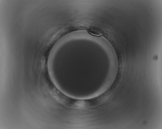 X0000112820231200909181633