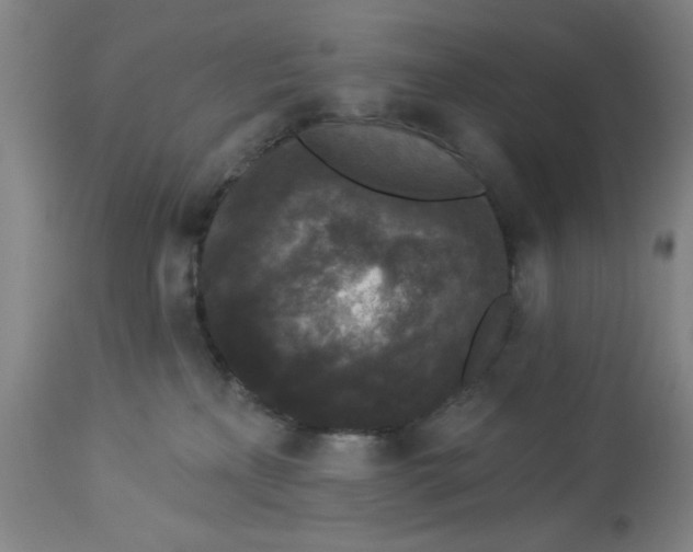 X0000112820233200909181633