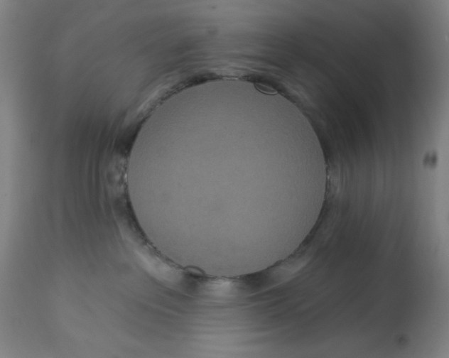 X0000112820237200909181633