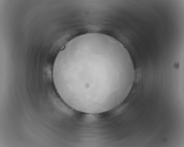 X0000112820238200909181633