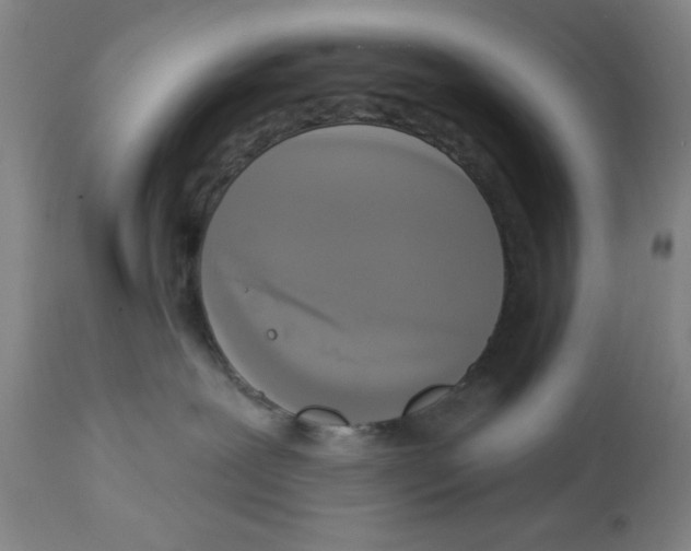 X0000112820239200909181633