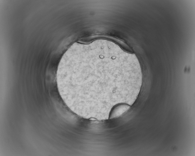 X0000112820240200909181633