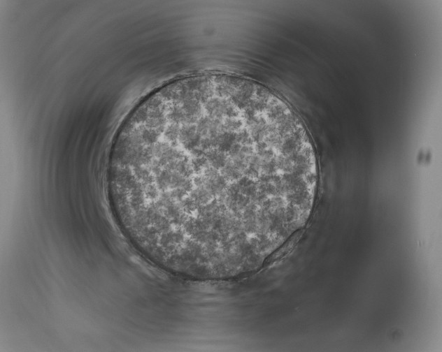 X0000112820241200909181632