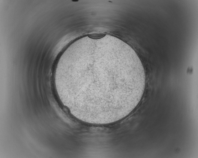 X0000112820242200909181632