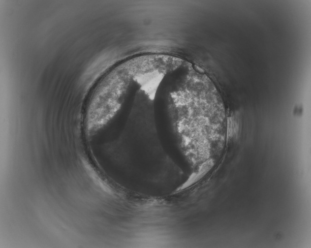 X0000112820243200909181632