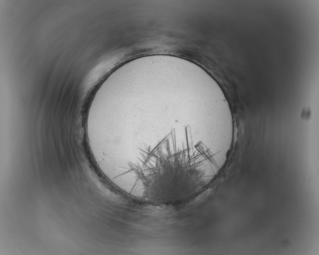 X0000112820245200909181632