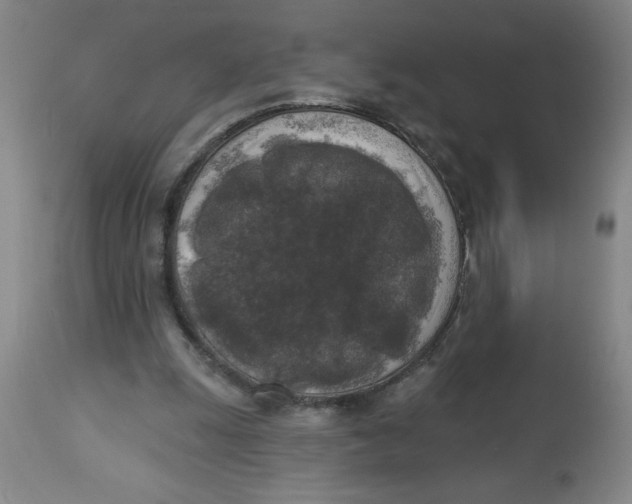 X0000112820247200909181632