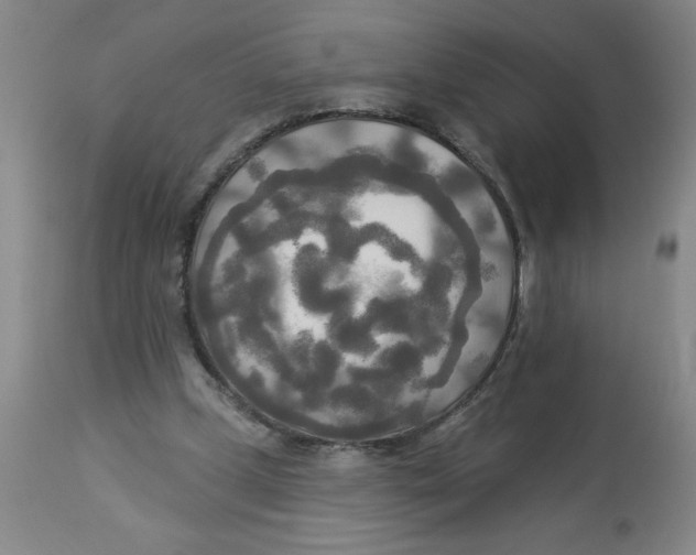 X0000112820249200909181632