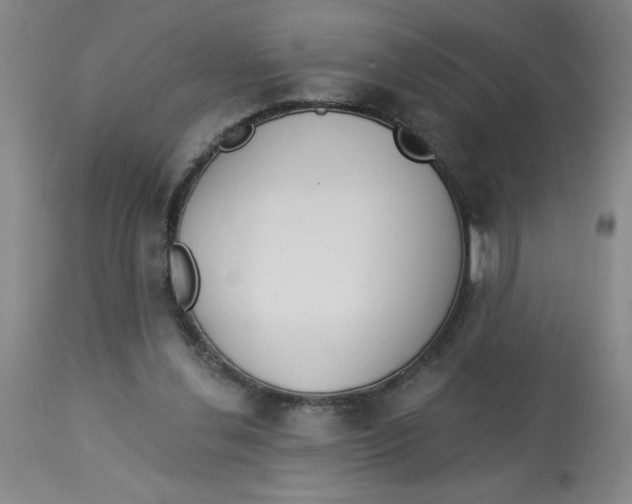 X0000112820252200909181632