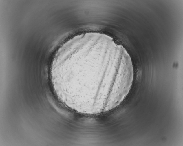 X0000112820254200909181632