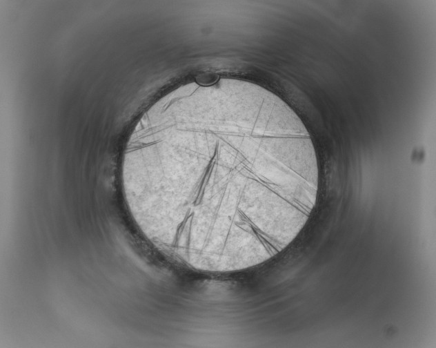 X0000112820255200909181632