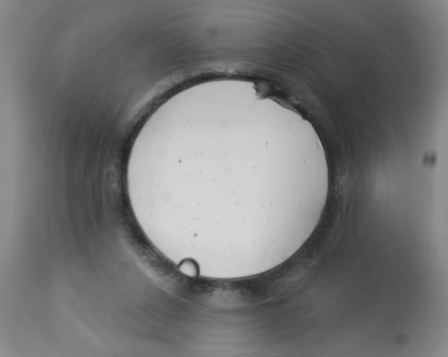 X0000112820256200909181632