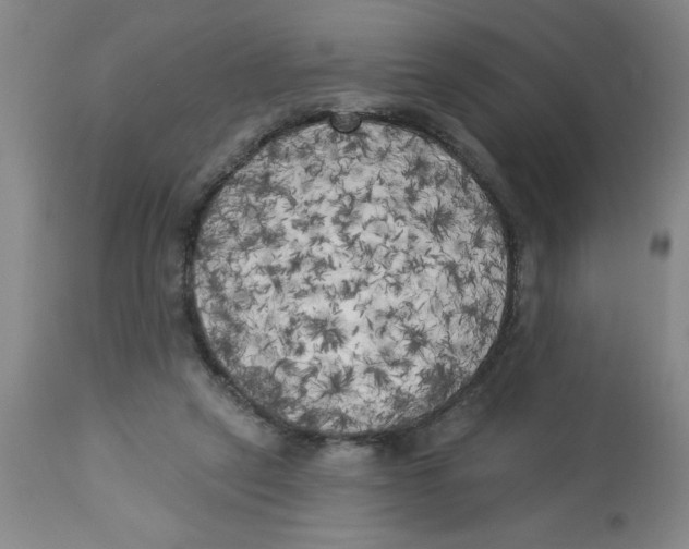 X0000112820257200909181632