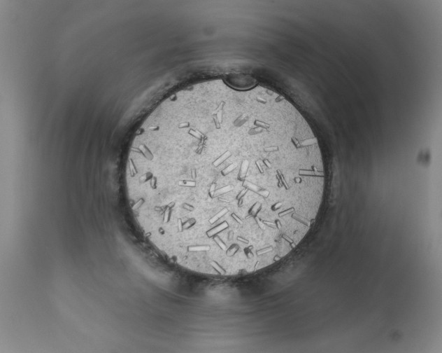 X0000112820258200909181632