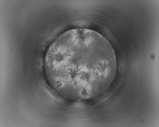 X0000112820259200909181632