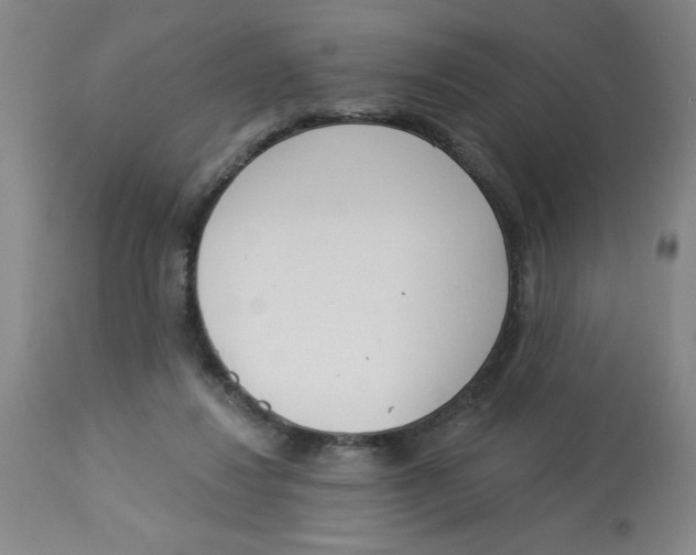 X0000112820260200909181632