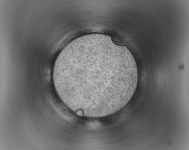 X0000112820262200909181632