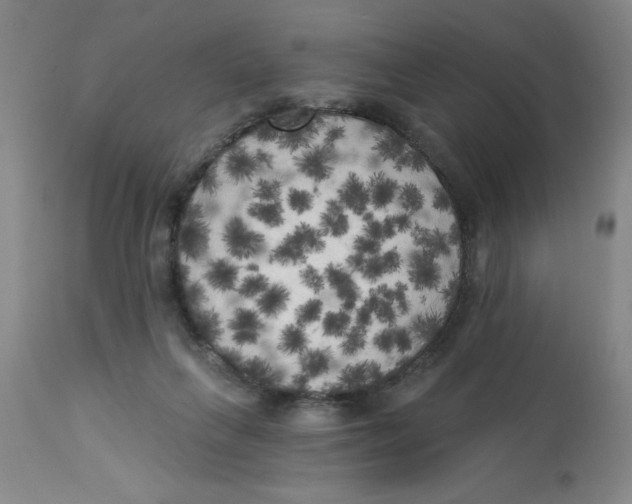 X0000112820263200909181632