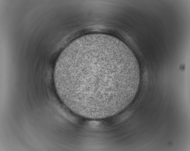 X0000112820265200909181632