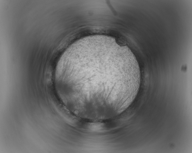 X0000112820266200909181632