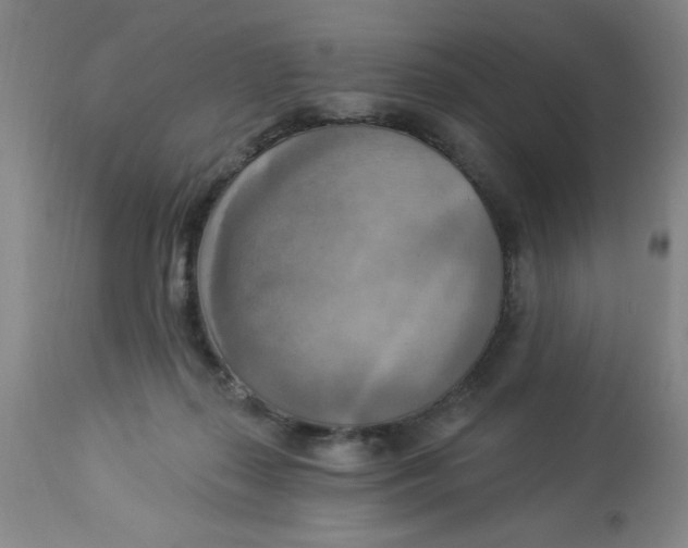 X0000112820267200909181632