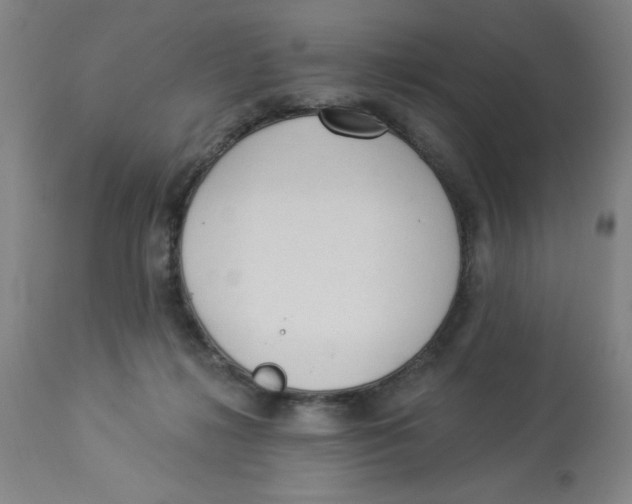 X0000112820268200909181632