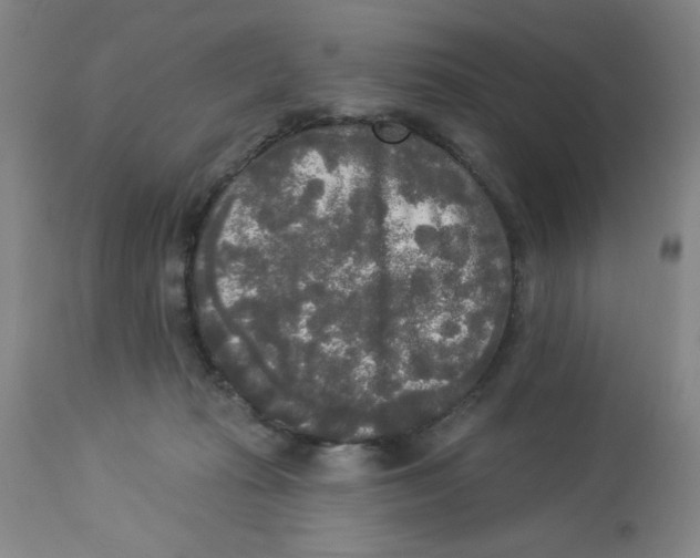 X0000112820269200909181632