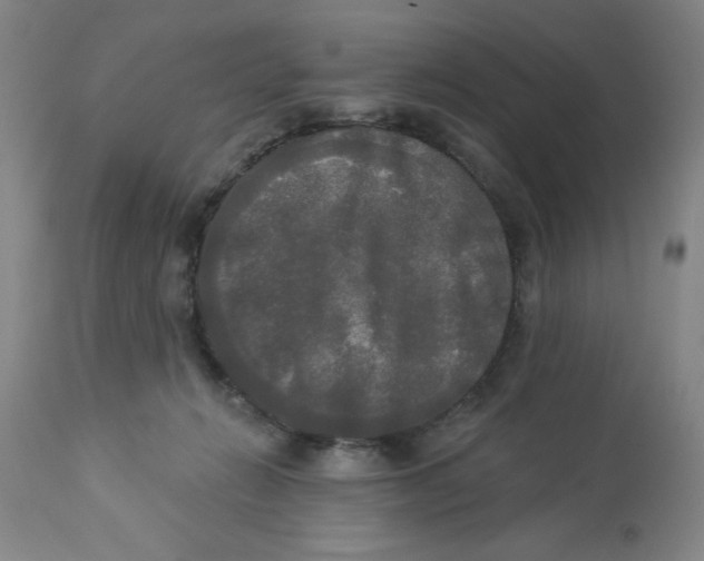 X0000112820270200909181632