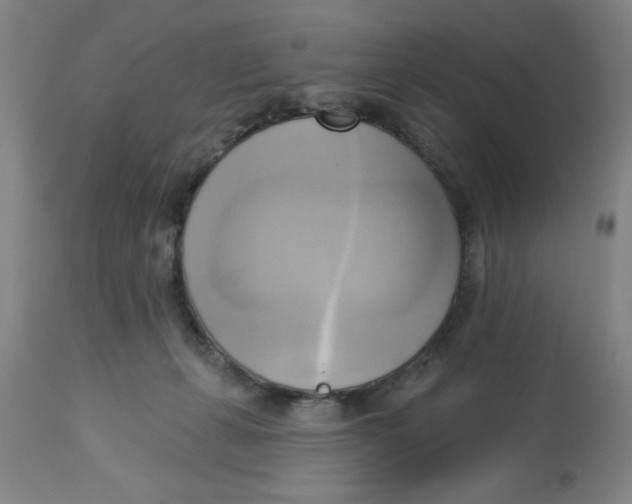 X0000112820271200909181632