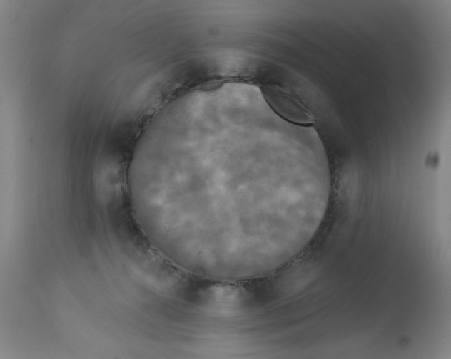 X0000112820272200909181632