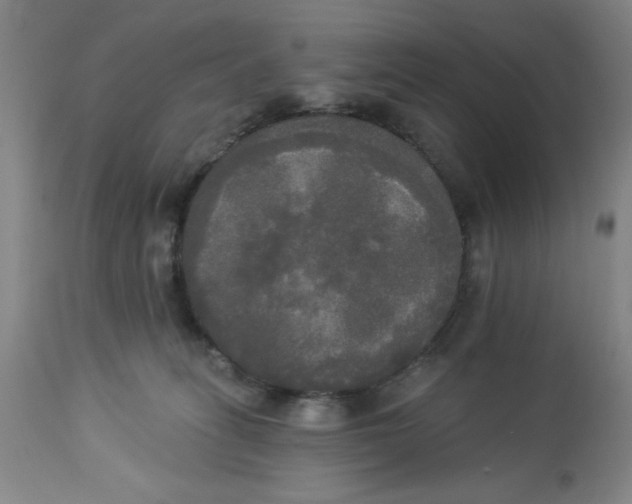 X0000112820275200909181632