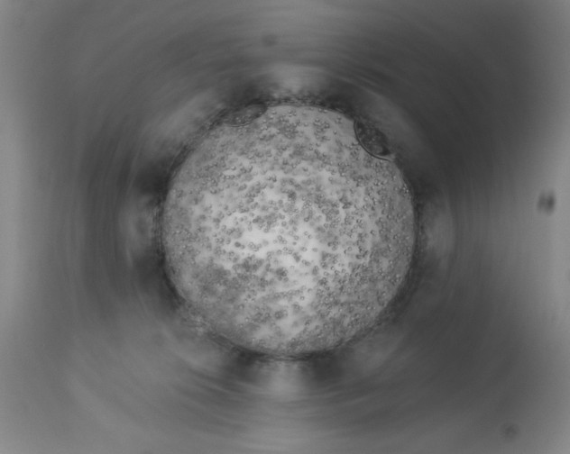 X0000112820276200909181632