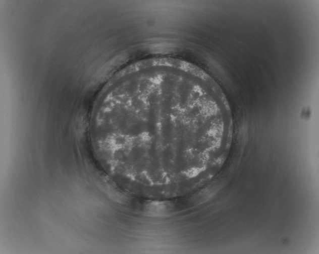 X0000112820277200909181632