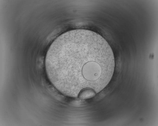 X0000112820278200909181632