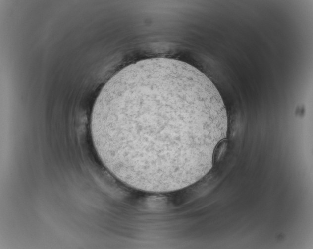 X0000112820279200909181632