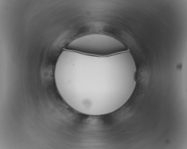 X0000112820280200909181632