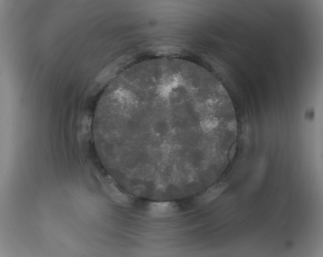 X0000112820281200909181632