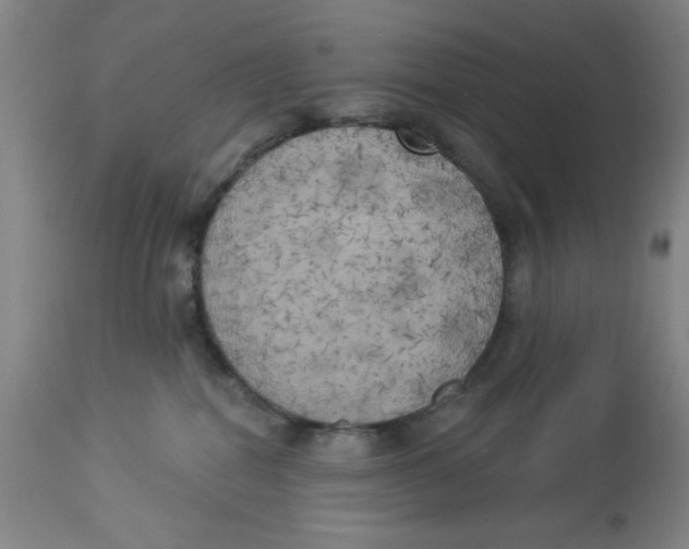 X0000112820282200909181632