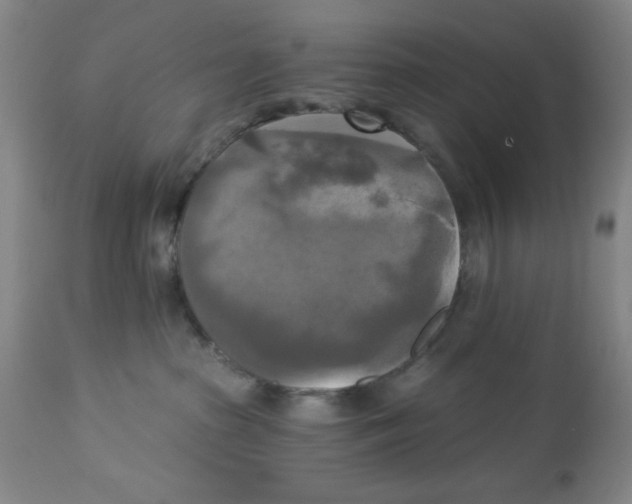 X0000112820285200909181632