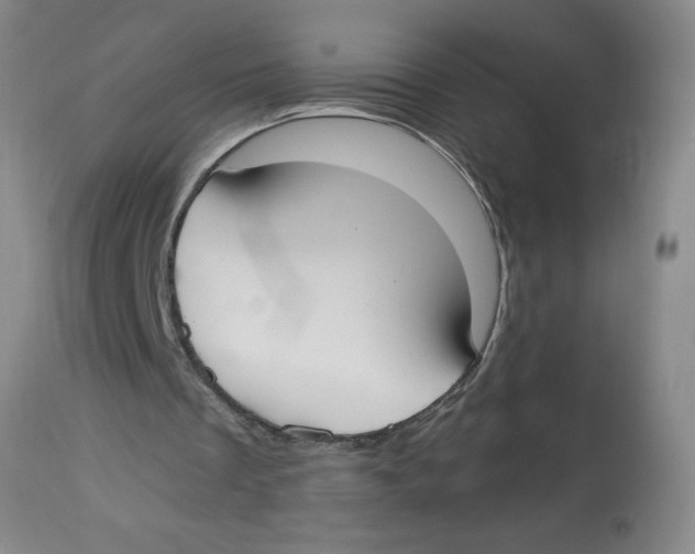 X0000112820289200909181632