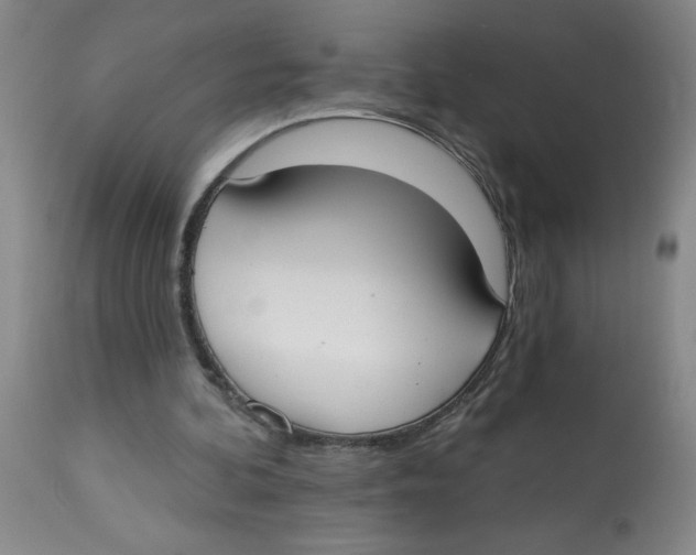 X0000112820292200909181632