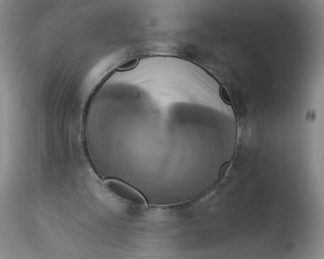 X0000112820293200909181632