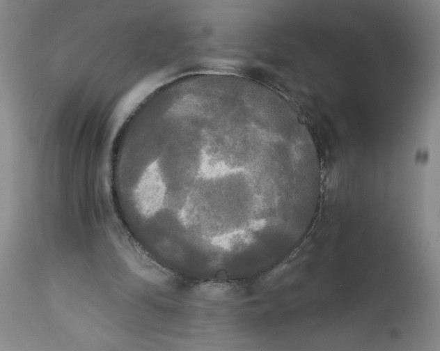 X0000112820294200909181632